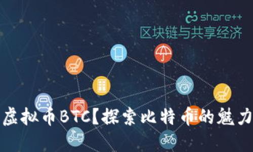 什么是虚拟币BTC？探索比特币的魅力与挑战