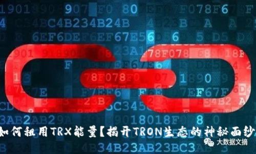 如何租用TRX能量？揭开TRON生态的神秘面纱！