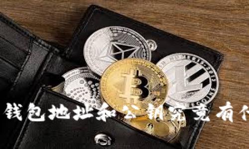 imToken钱包地址和公钥究竟有什么不同？