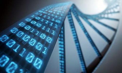 

在哪里购买imToken硬件钱包，确保资产安全的最佳选择？