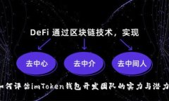 如何评估imToken钱包开发团队的实力与潜力？