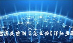 ImToken钱包丢失密钥了怎么办？详细步骤与解决方