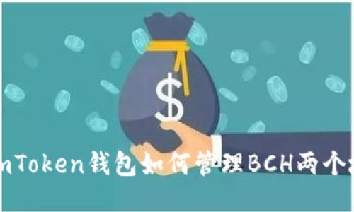 : ImToken钱包如何管理BCH两个地址
