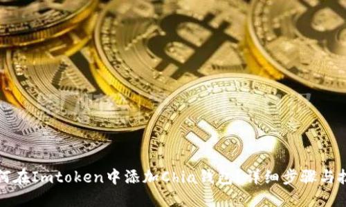 如何在Imtoken中添加Chia钱包？详细步骤与技巧