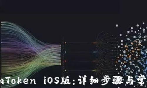 
如何下载ImToken iOS版：详细步骤与常见问题解答