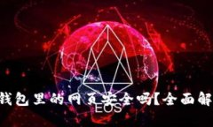 : imToken钱包里的网页安全吗？全面解析其安全性