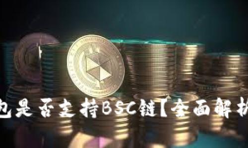 imToken钱包是否支持BSC链？全面解析与使用指南